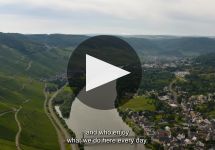 J.J. Prum Winery Video