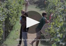Castellani Overview of the Castellani Family Estate Winery Video