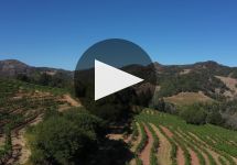 Far Mountain Alta Vista  Winery Video