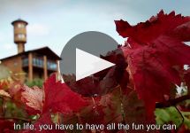 Eguren Ugarte Eguren Ugarte Winery Video
