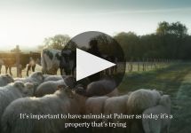 Chateau Palmer  Winery Video