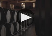 Emilio Moro Winery Video