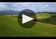 Rocca delle Macie Rocca delle Macie Winery Video