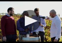 Vinos de Arganza Vinos de Arganza Vineyards Winery Video