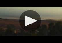 Matsu Winery Video