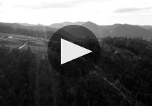 Ink Grade Learn More About Ink Grade Winery Video