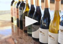 Ammunition Learn More About Ammunition Wines Winery Video