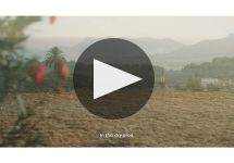 Bodega El Angosto  Winery Video