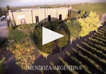 Andeluna Winery Video