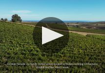 Di Majo Norante Di Majo Norante Winery Video