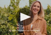 Candoni De Zan Winery Video