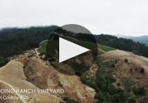 Schramsberg Vineyards Winery Video
