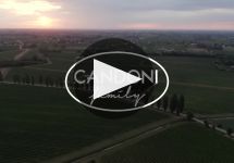 Candoni De Zan Winery Video