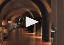 Condado de Haza The Château of Ribera del Duero Winery Video