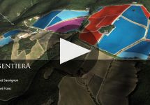 Argentiera Tenuta Argentiera Winery Video