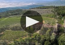 Fattoria La Lecciaia  Winery Video
