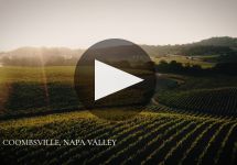 Faust Take a Closer Look at Faust Winery Video