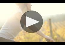 Clos Apalta Winery Video