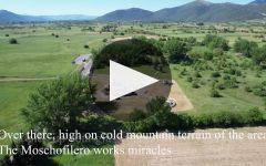 Troupis Winery Winery Video
