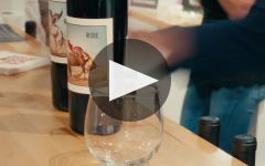 Ride & Ridden Ride & Ridden Photography x Wine Event Winery Video
