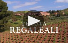Regaleali  Winery Video