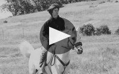 Oberon Oberon - 45 years of Napa Valley Roots Winery Video