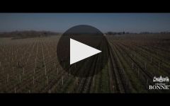 Chateau Bonnet Chateau Bonnet Winery Video