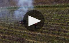 Bouchard Pere & Fils Gevrey-Chambertin Les Cazetiers Premier Bouchard Pere & Fils Gevrey-Chambertin Les Cazetiers Premier