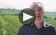 Santa Margherita Winery Video