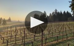 Soter Vineyards Winery Video