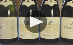 Albert Bichot Winery Video