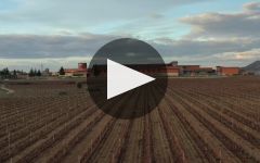Enate Winery Video