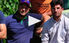 Tenuta Grimaldi Learn More About Tenuta Grimaldi Winery Video