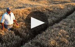 Farmer's Gin 1000 Springs Mill Farm Winery Video