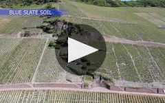 Dr. Loosen Winery Video