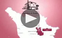 Carpineto Winery Video