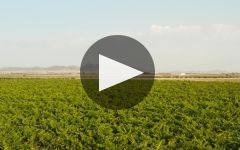 Bodegas La Purisma La Purisima Winery Video