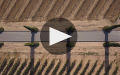 Vilarnau Vilarnau, in the heart of Cava Winery Video