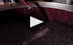 Maison de la Villette Winery Video