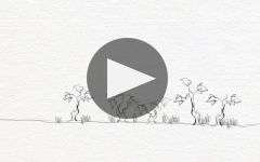 Remy Martin Winery Video