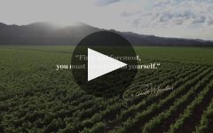Robert Mondavi Winery Video