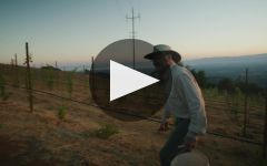 Ridge Home Ranch 2001 | Wine.com