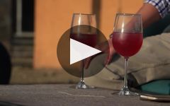 RGNY  Winery Video
