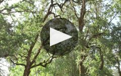 Patz & Hall Winery Video
