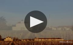 Chateau Montrose Winery Video