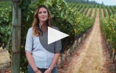 Erath Vineyards The Art of Pinot Noir Winery Video