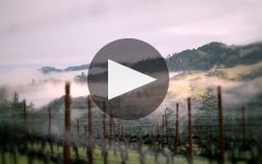 Ferrari-Carano Winery Video