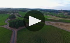 Gran Moraine Winery Video