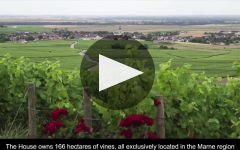 Bollinger La Grande Annee Brut 2014 | Wine.com Bollinger La Grande Annee Brut 2014 | Wine.com