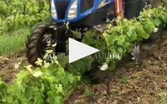 Chateau Jalousie Beaulieu Chateau Jalousie Beaulieu Winery Video